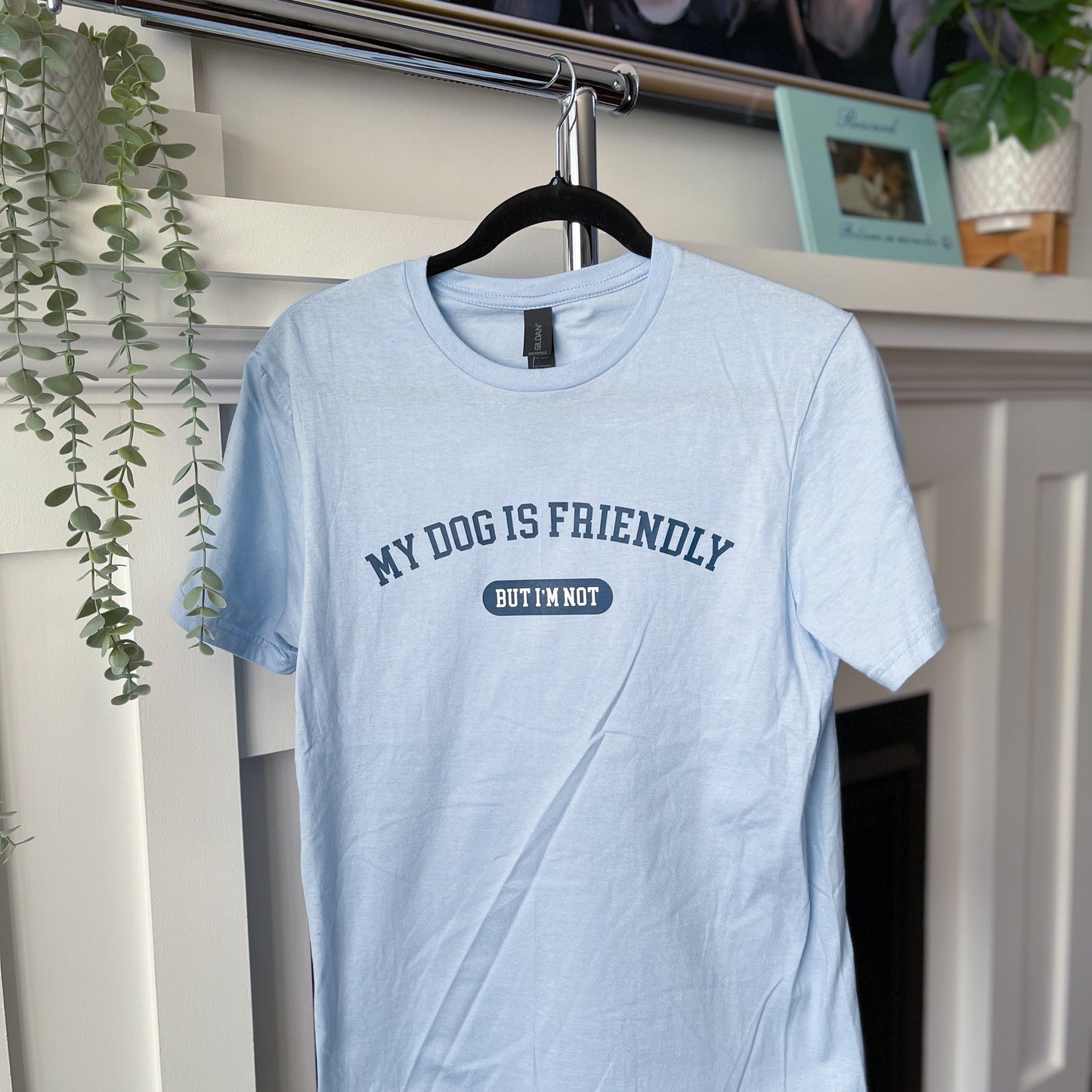 My Dog is Friendly Shirt - Stock